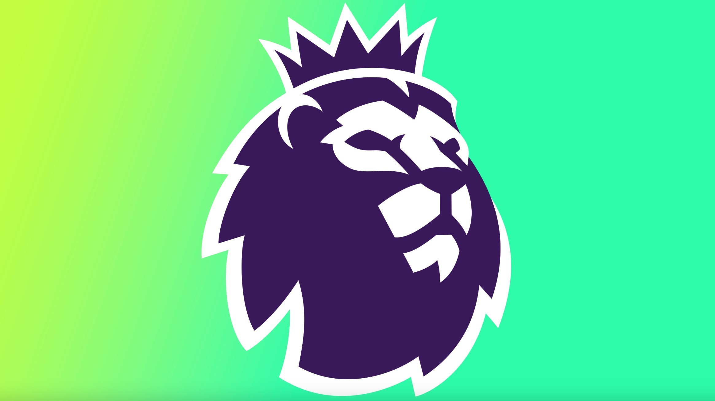 磨合阵容 磨合阵容